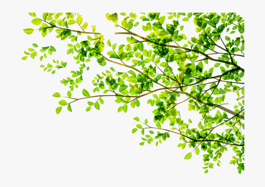 #leaves #leaf #green #tree #vector #freetoedit - Thank You Images For Ppt With Plants, HD Png Download, Free Download