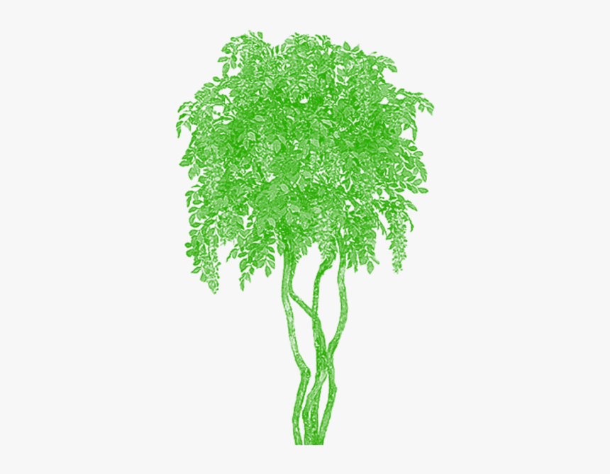 @ Vector Tree - Trippy Tree Png, Transparent Png, Free Download