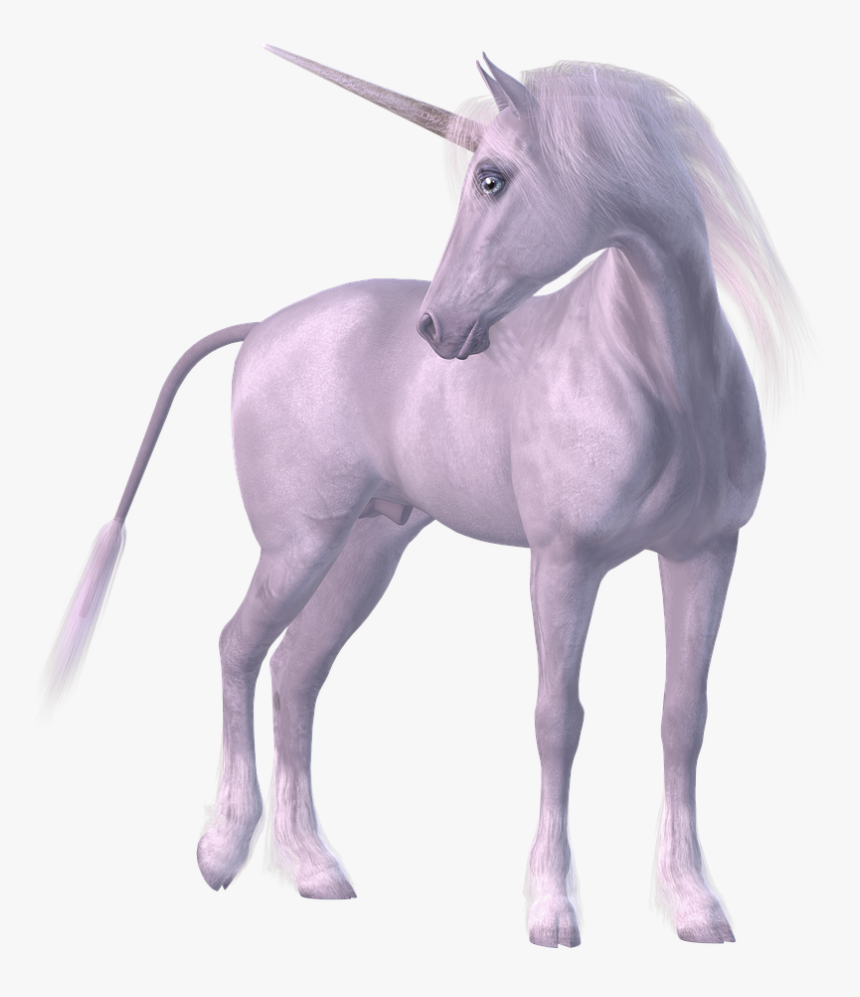 Horse Unicorn Legendary Creature - Unicorn Gerçek, HD Png Download, Free Download