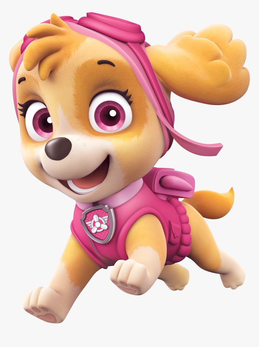 paw patrol skye stuff