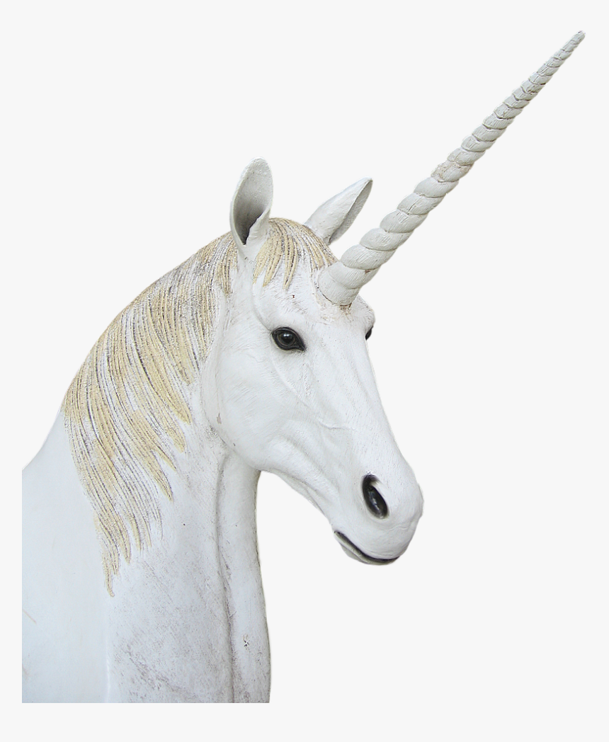 Png Unicorn Animal Magic Free Picture - Licorne Png, Transparent Png, Free Download
