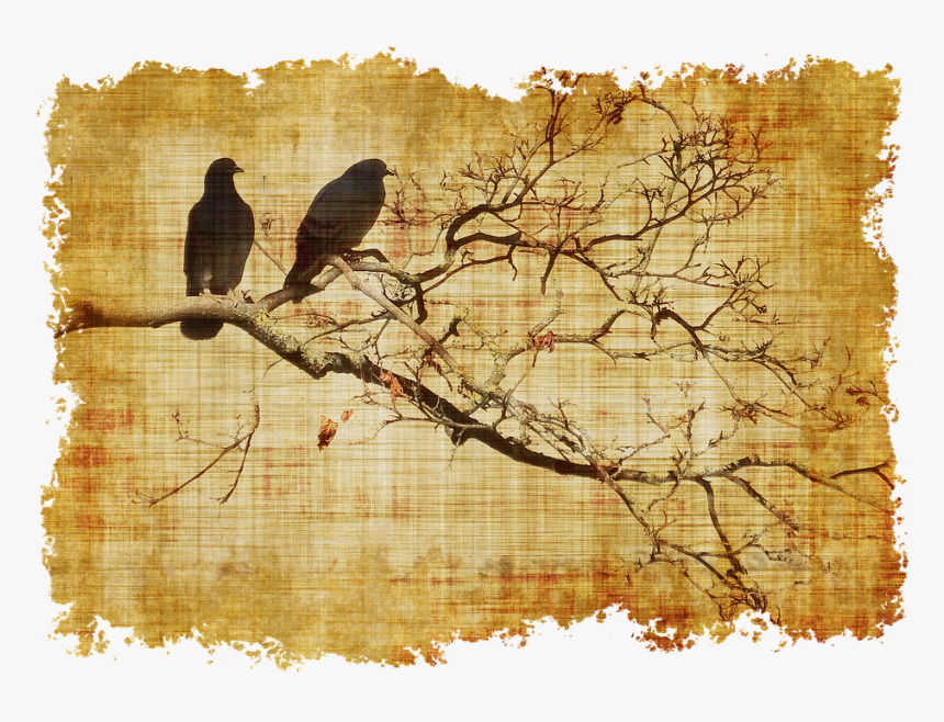 Parchment, Birds, Branch, Branches, Old, Stationery - Pergaminos Para Escribir Png, Transparent Png, Free Download