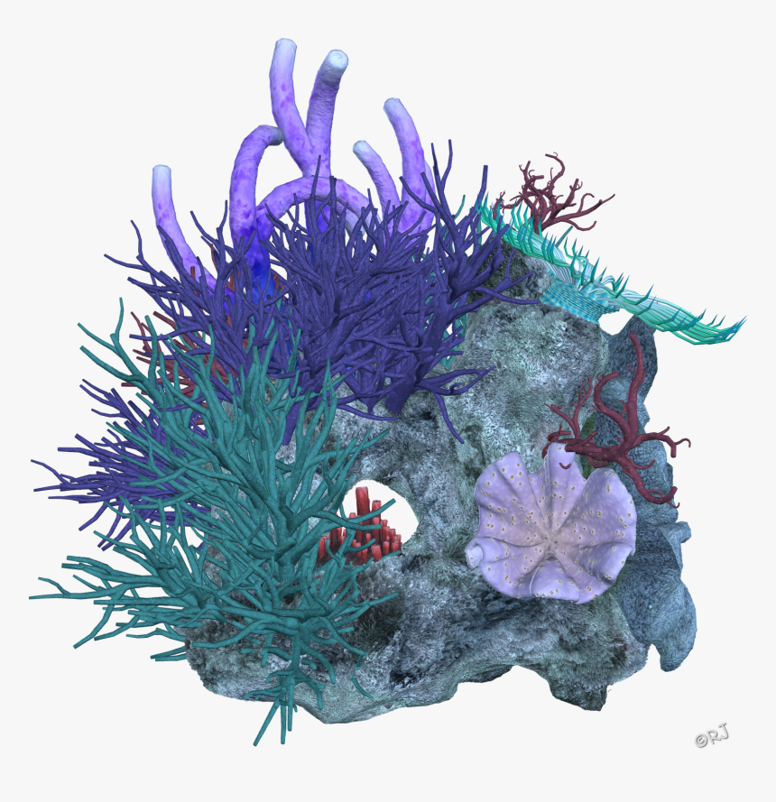 Reef Deep Sea Transprent - Sea Coral Transparent Png, Png Download, Free Download