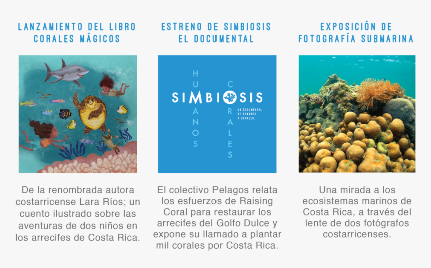 Invitacion Editable Latest-18 - Coral Reef, HD Png Download, Free Download