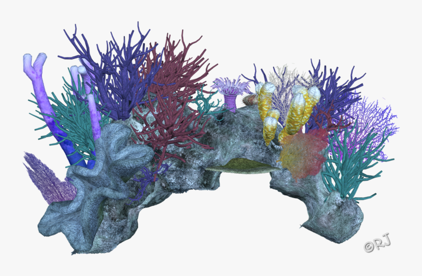 Decor Coral Invertebrate Aquarium Reef Invertebrates - Coral Reef Transparent Background, HD Png Download, Free Download