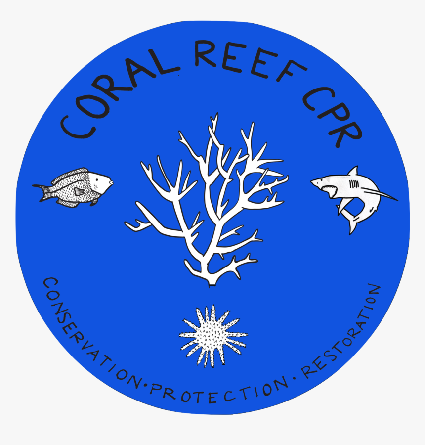 Coral Reef Cpr, HD Png Download, Free Download