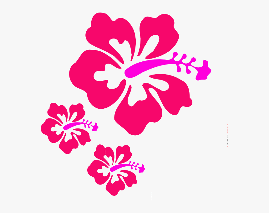 Coral Hibiscus Svg Clip Arts - Clipart Hawaiian Flowers, HD Png Download, Free Download