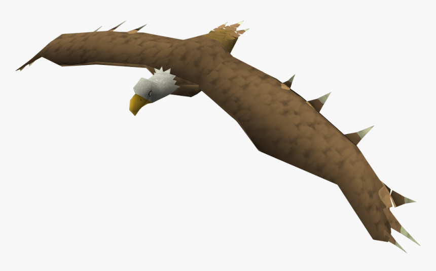 Bald Eagle, HD Png Download, Free Download