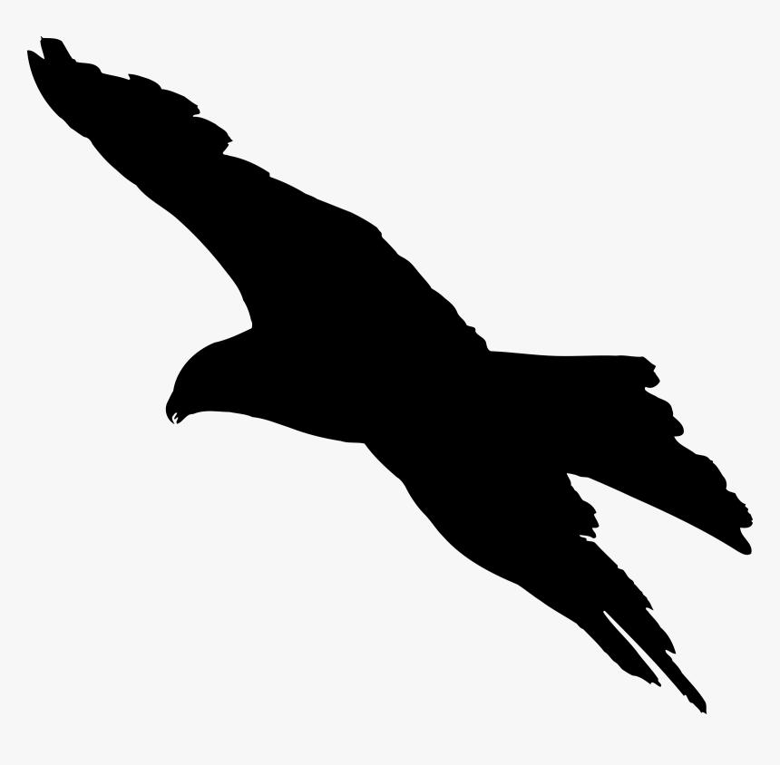 Bald Eagle Bird Silhouette Clip Art - Silhouette Of Bird Of Prey, HD Png Download, Free Download