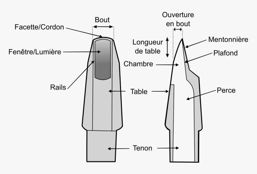 Schema Bec Saxophone - Saxophone Schema, HD Png Download, Free Download