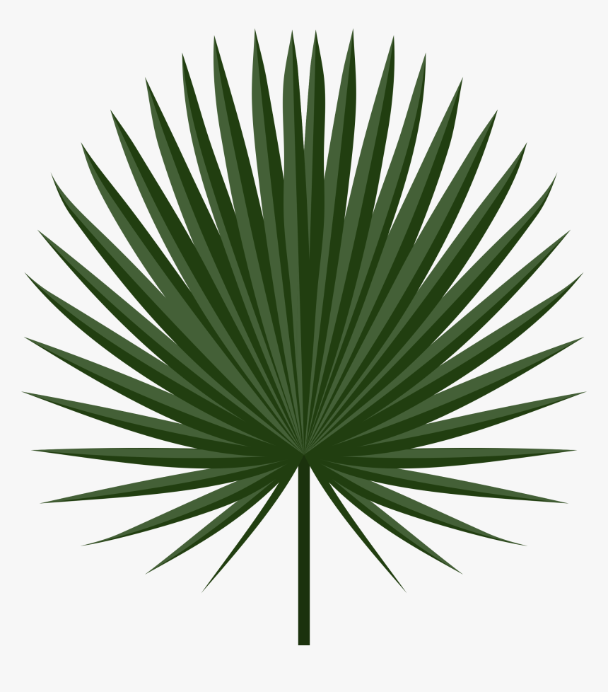 Leaves Clipart Palm Leaves - Palm Leaf Png, Transparent Png, Free Download