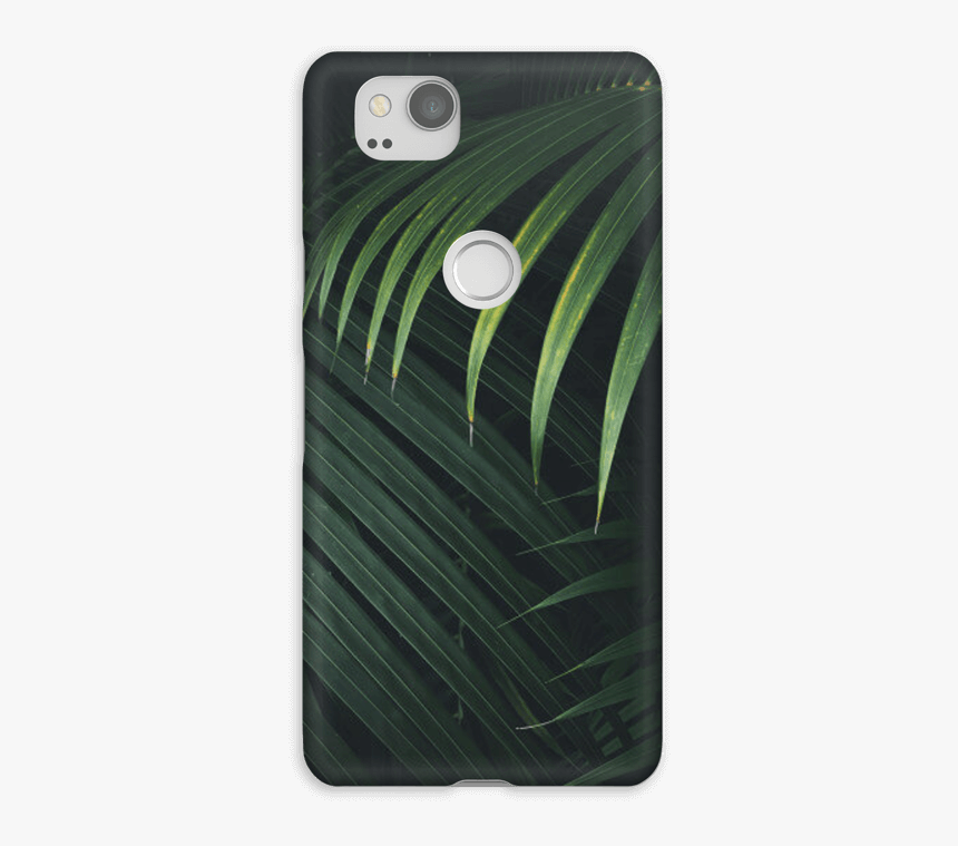 Palm Leaf Design - Iphone, HD Png Download, Free Download