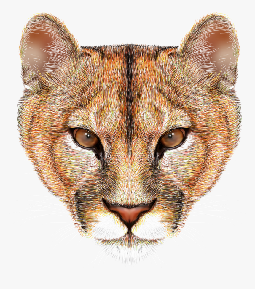 Transparent Lion Head Png - Mountain Lion Clip Art Free, Png Download, Free Download