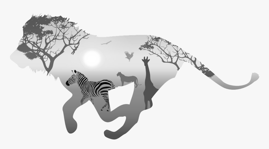 Animals - Black And White Lion Paintings, HD Png Download, Free Download