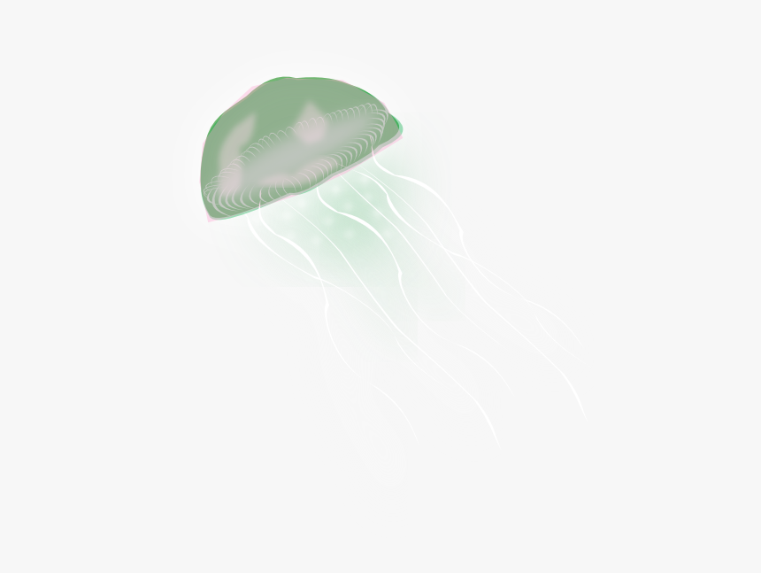 Jellyfish Png - Jellyfish, Transparent Png, Free Download