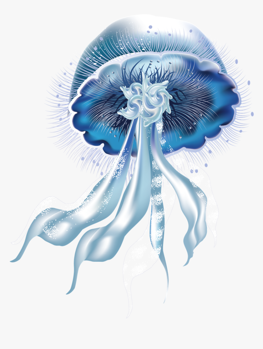 Jellyfish Png Picture - Jellyfish Png, Transparent Png, Free Download