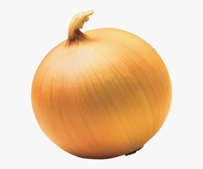 Onion Png Free Download - Shrek And Onions, Transparent Png, Free Download