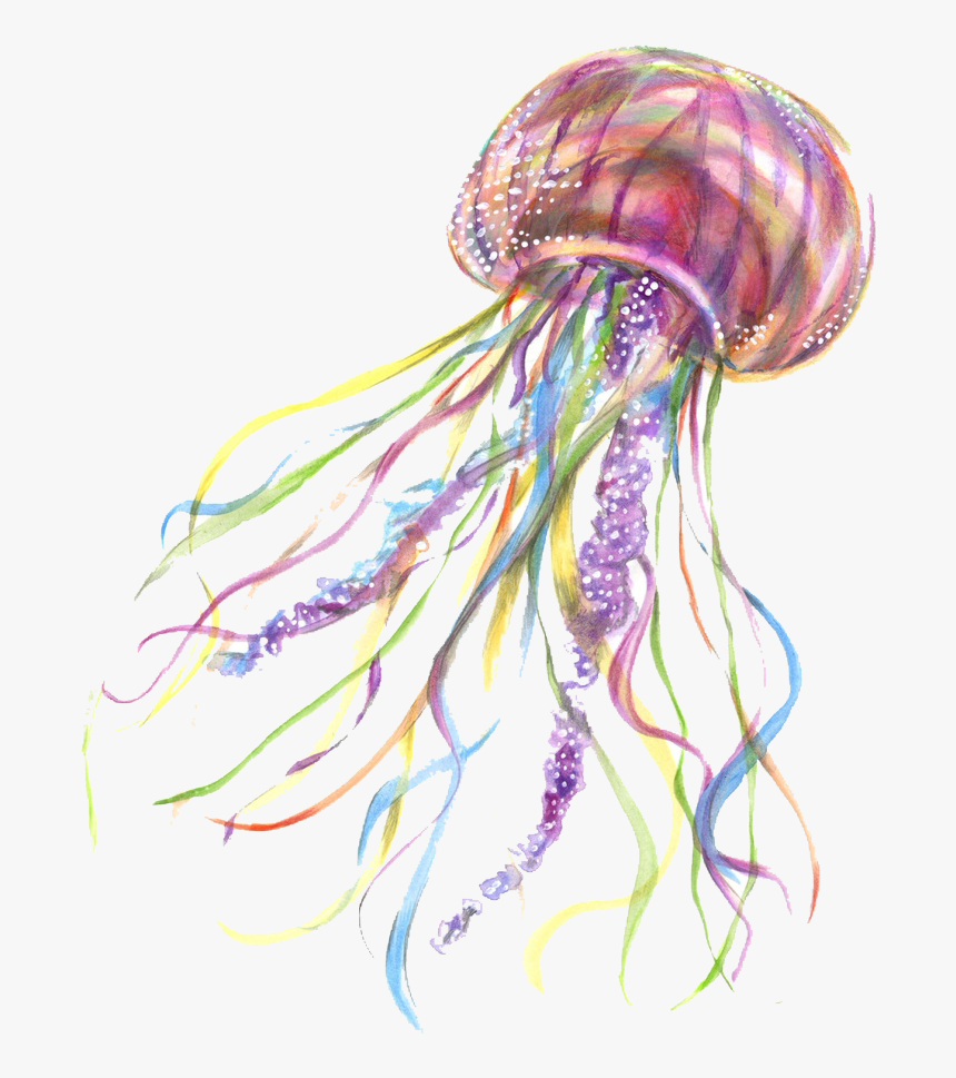 #jellyfish #fish #png #freetoedit - Transparent Background Jelly Fish Png, Png Download, Free Download