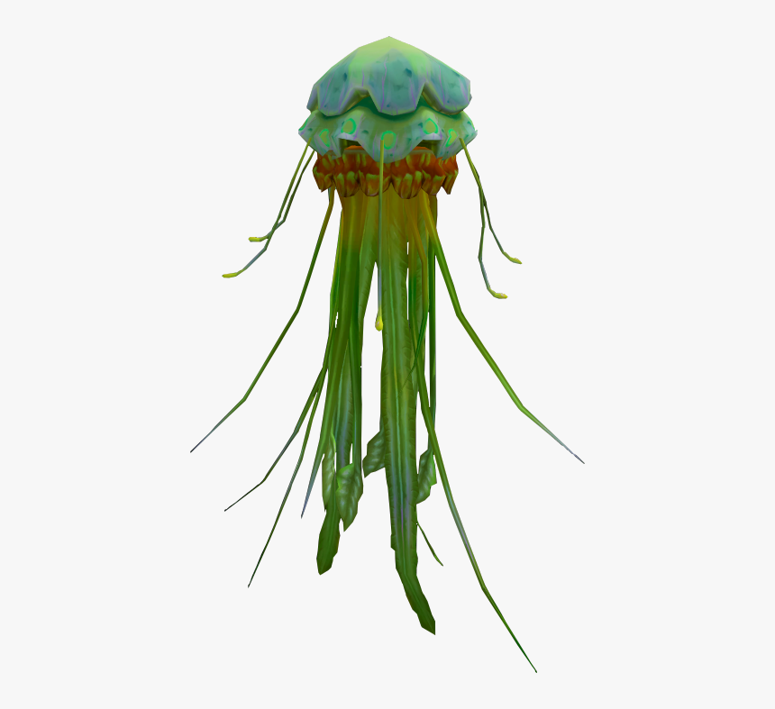 Green Blubber Jellyfish, HD Png Download, Free Download