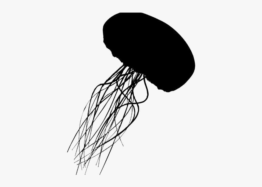 Transparent Jellyfish Png Icon - Silhouette, Png Download, Free Download