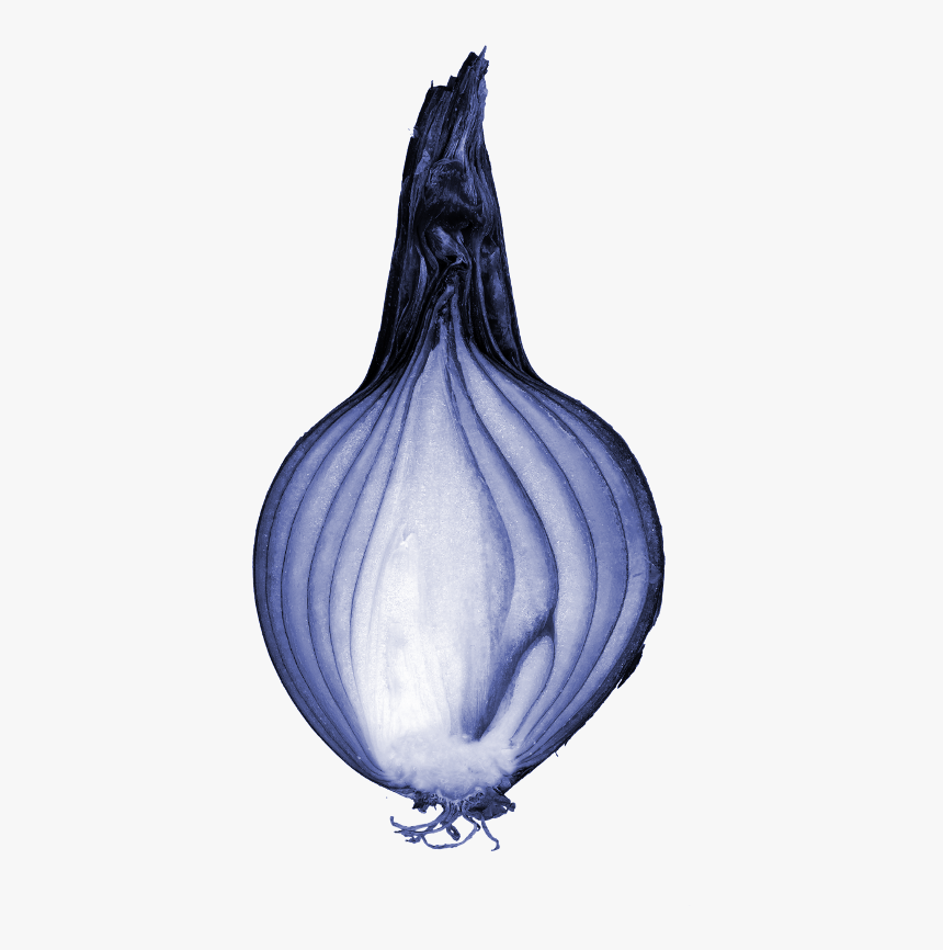 File - Blueonioncut - Opinion Without 3.14 Is Onion, HD Png Download, Free Download