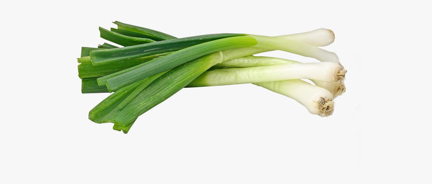 Green Onions Png - Png Of Spring Onions, Transparent Png, Free Download