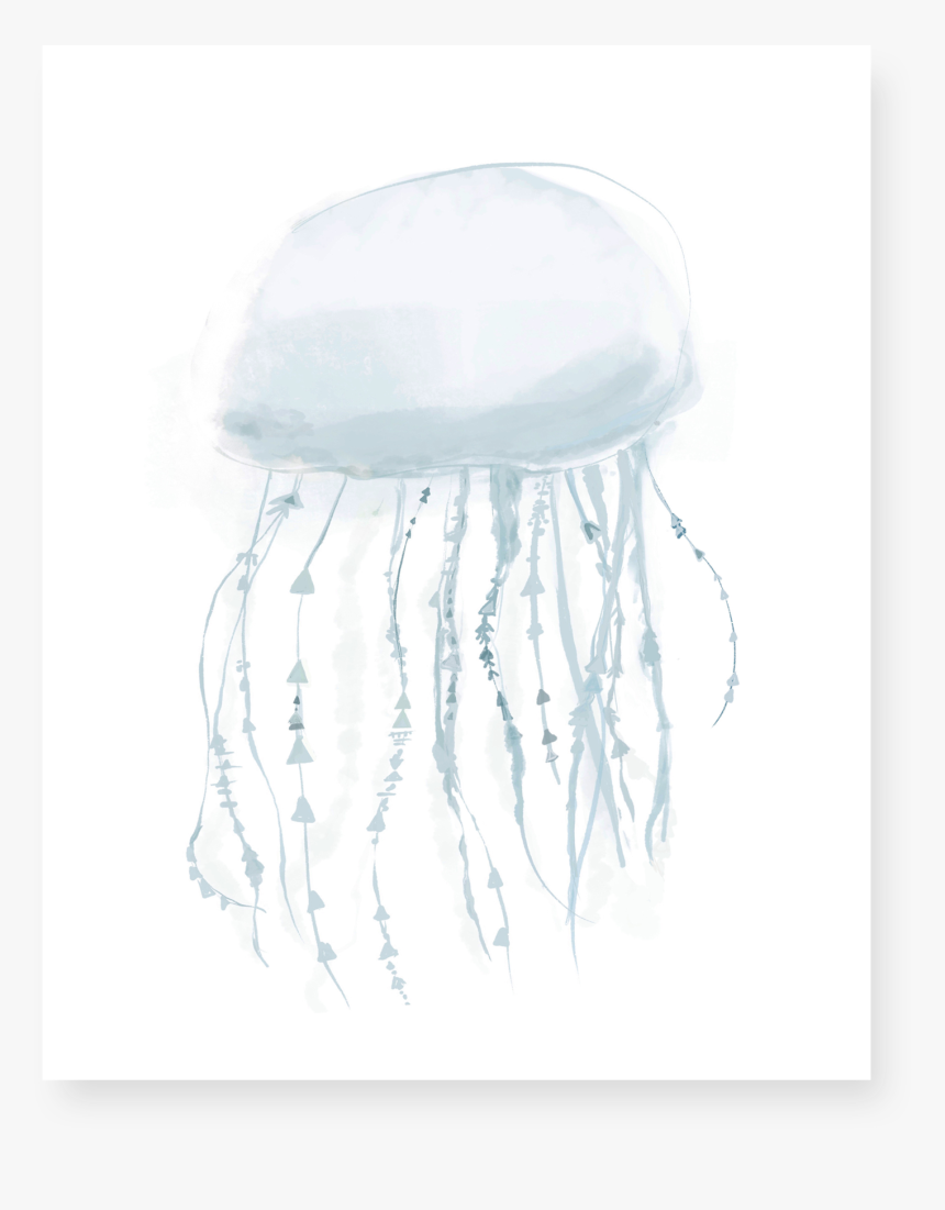 Jellyfish - Cephalopod, HD Png Download, Free Download