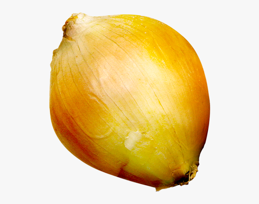 Onion Still Life Photography Fruit - Yellow Onion, HD Png Download, Free Download