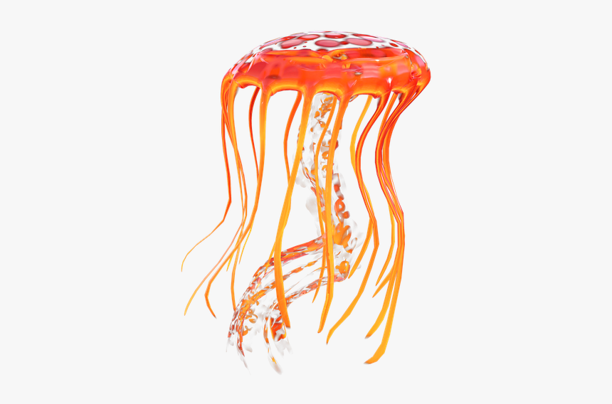 Jellyfish, Ocean, Orange, Sting, Underwater, Sea - Jellyfish, HD Png Download, Free Download