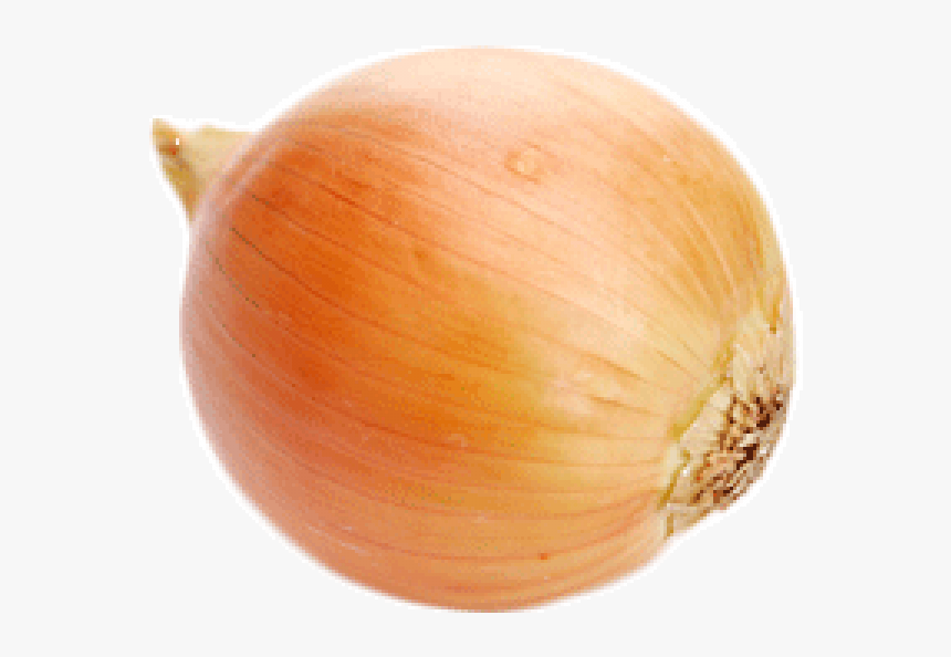 Onion Png Free Download - Transparent Onions, Png Download, Free Download