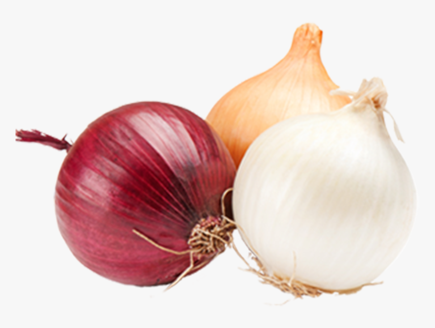 Onions Onions Png - Transparent Picture Of Onions, Png Download, Free Download