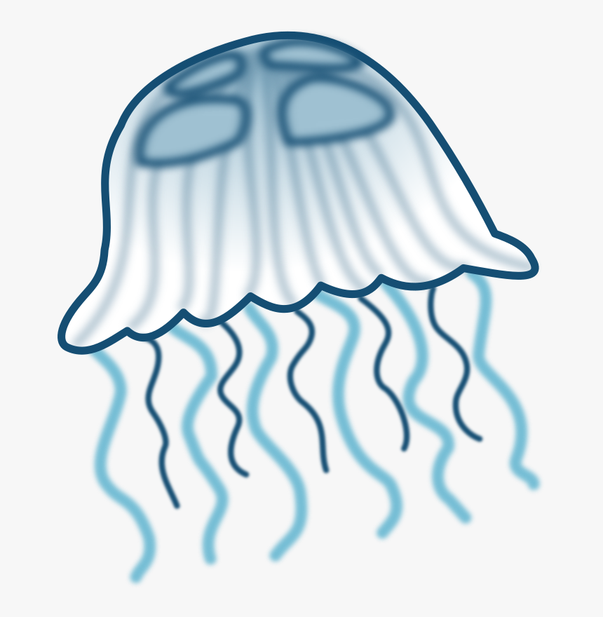 Transparent Jellyfish Png - Jelly Fish Clip Art, Png Download, Free Download