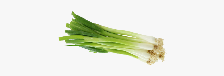 Green Onion Png, Transparent Png, Free Download