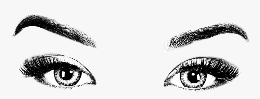 Eyebrows And Eyes Drawing, HD Png Download, Free Download