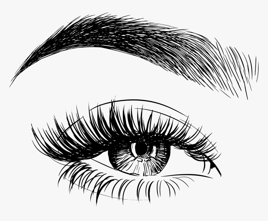 Eyelash And Eyebrow Png, Transparent Png, Free Download