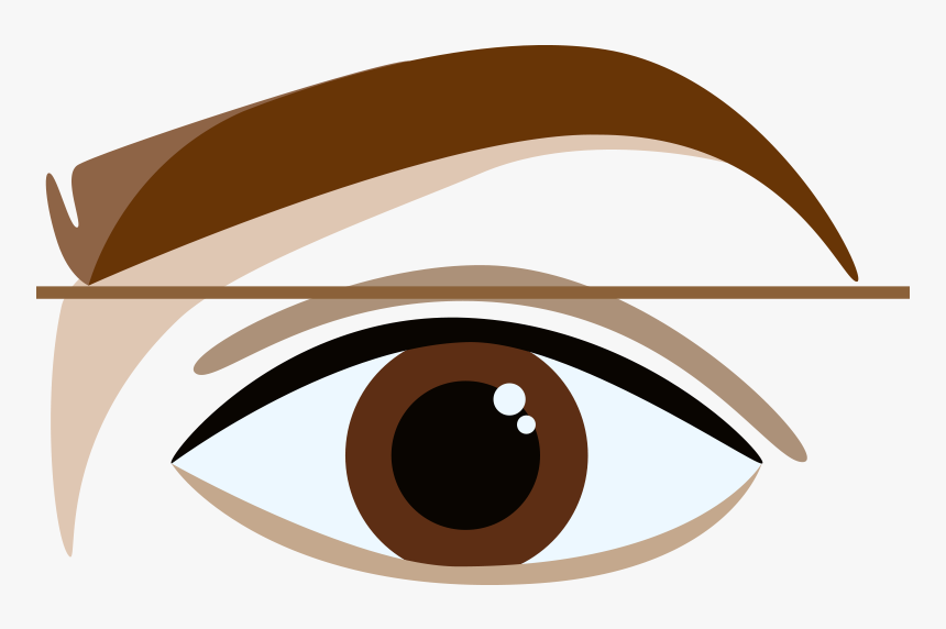 Clip Art How To Shape Your - Eyebrows Cartoon, HD Png Download, Free Download