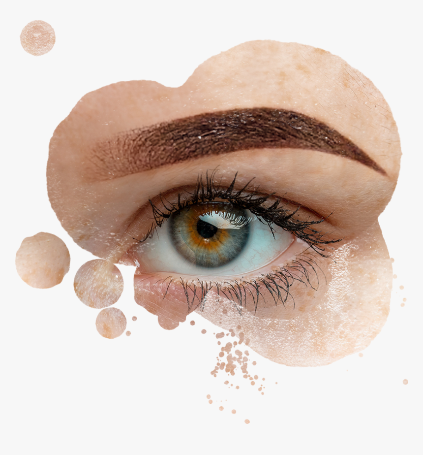 Eyebrow Png, Transparent Png, Free Download