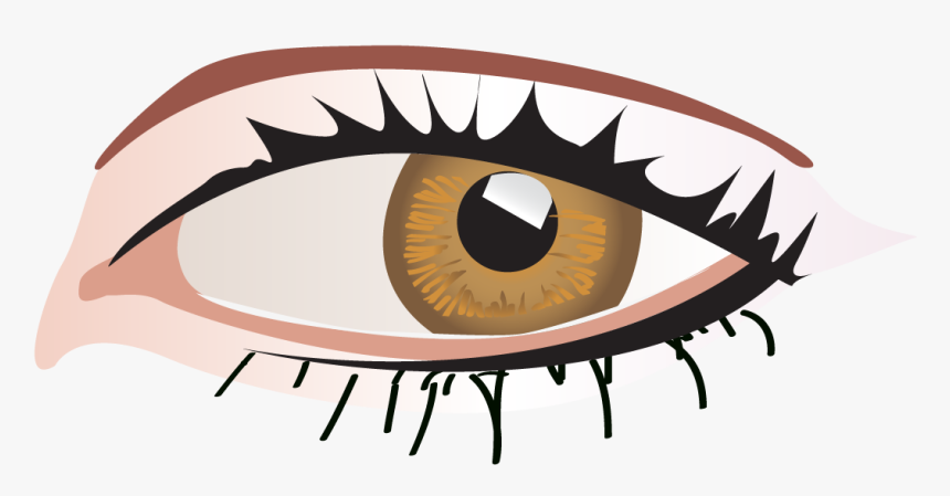 Ojos De Mujer Caricatura, HD Png Download, Free Download