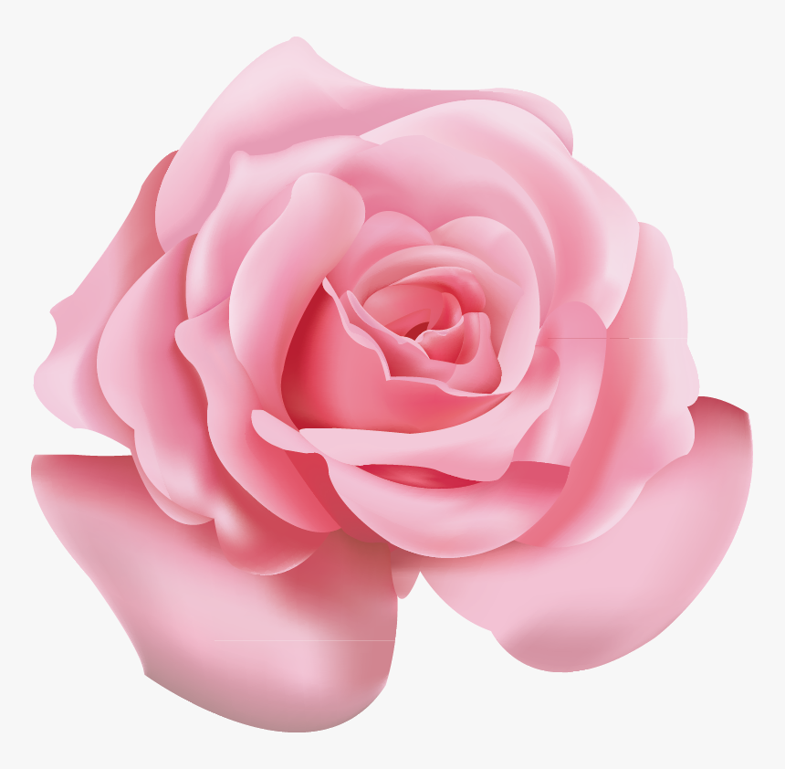 Beach Rose Pink Flower Icon - Flower Rose Pink Png, Transparent Png, Free Download