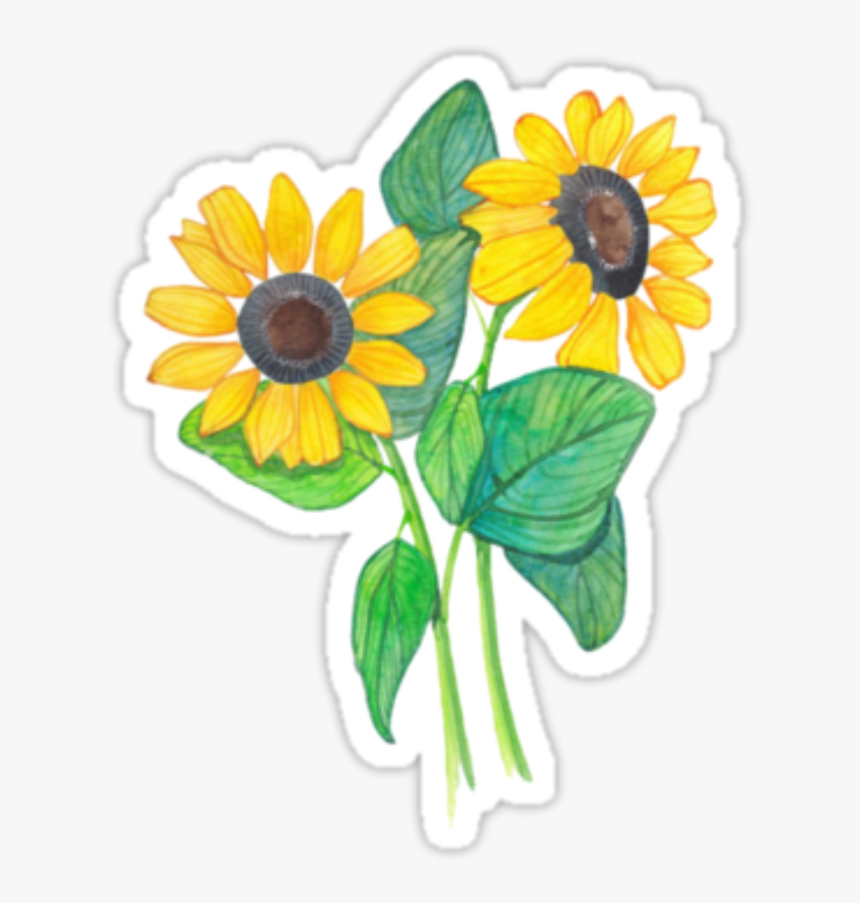 Tumblr Flowers Sticker Png Picsart 🌼💛✨ - Stickers Tumblr Flores, Transparent Png, Free Download