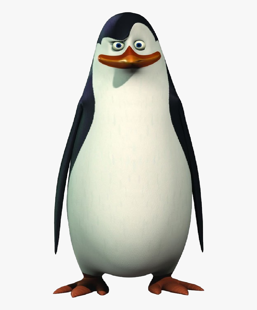 Ok Retard Penguin Meme, HD Png Download, Free Download