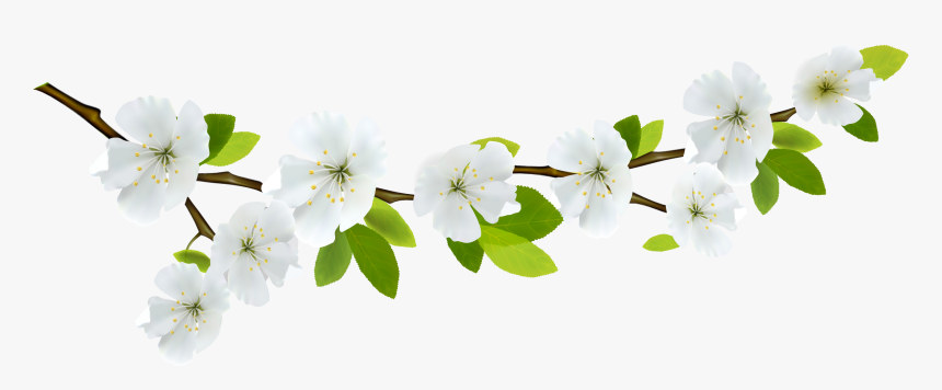 Branch And Flowers - Transparent Background Green Flower Png, Png Download, Free Download