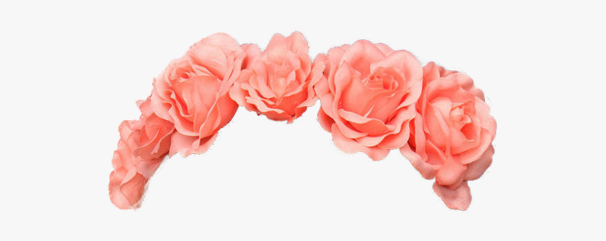 Orange Flower Crown Png, Transparent Png, Free Download
