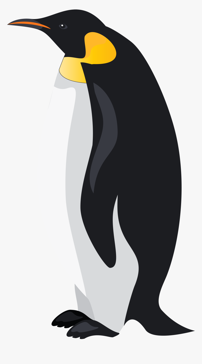 Penguin Clip Art - Emperor Penguin Clipart, HD Png Download, Free Download