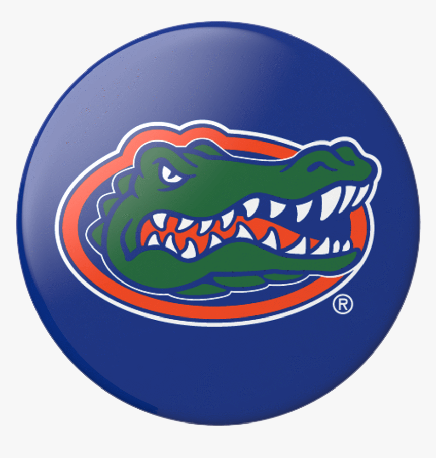 Florida Gators Basketball Logo , Transparent Cartoons - Florida Gators, HD Png Download, Free Download