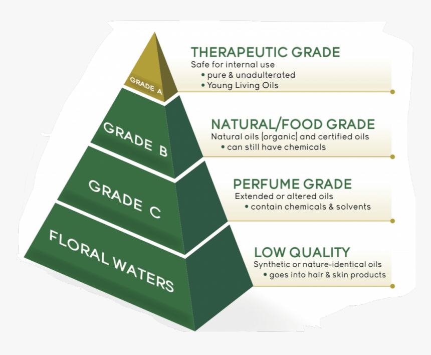 Introducing Young Living Essential Oils - Triangle, HD Png Download, Free Download