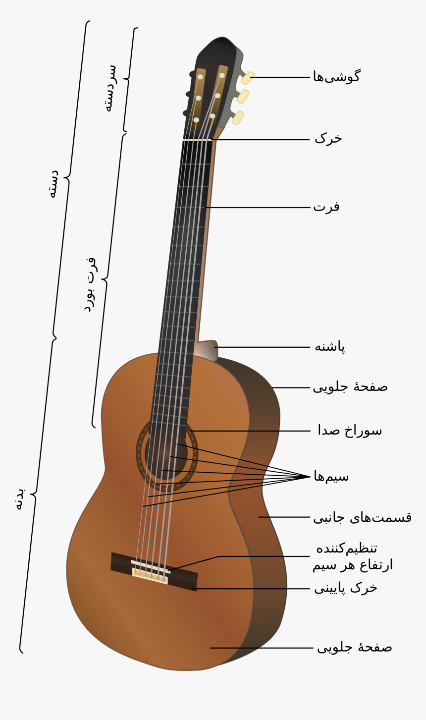 Transparent Guitar Hero Guitar Png - Acoustic Guitar Anatomy, Png Download, Free Download