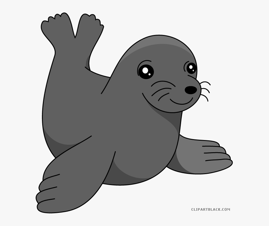 Sea Lion Clipart Transparent - Cartoon Sea Lion Clipart, HD Png Download, Free Download
