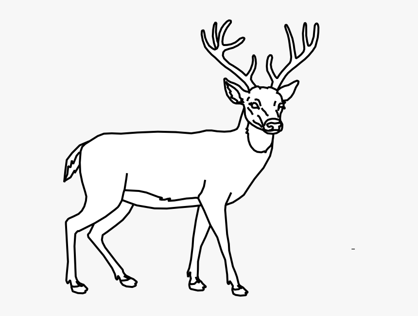 Simple Drawings Of A Deer, HD Png Download, Free Download