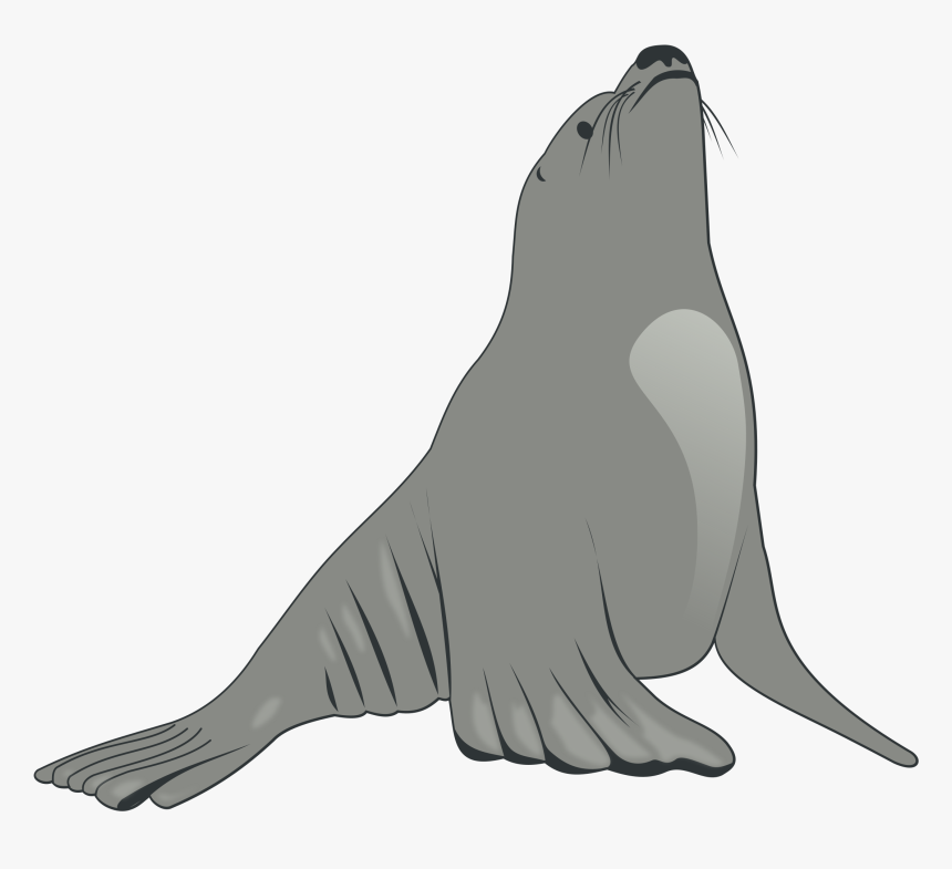 Sea Lion Clip Arts - Sea Lion Clipart, HD Png Download, Free Download